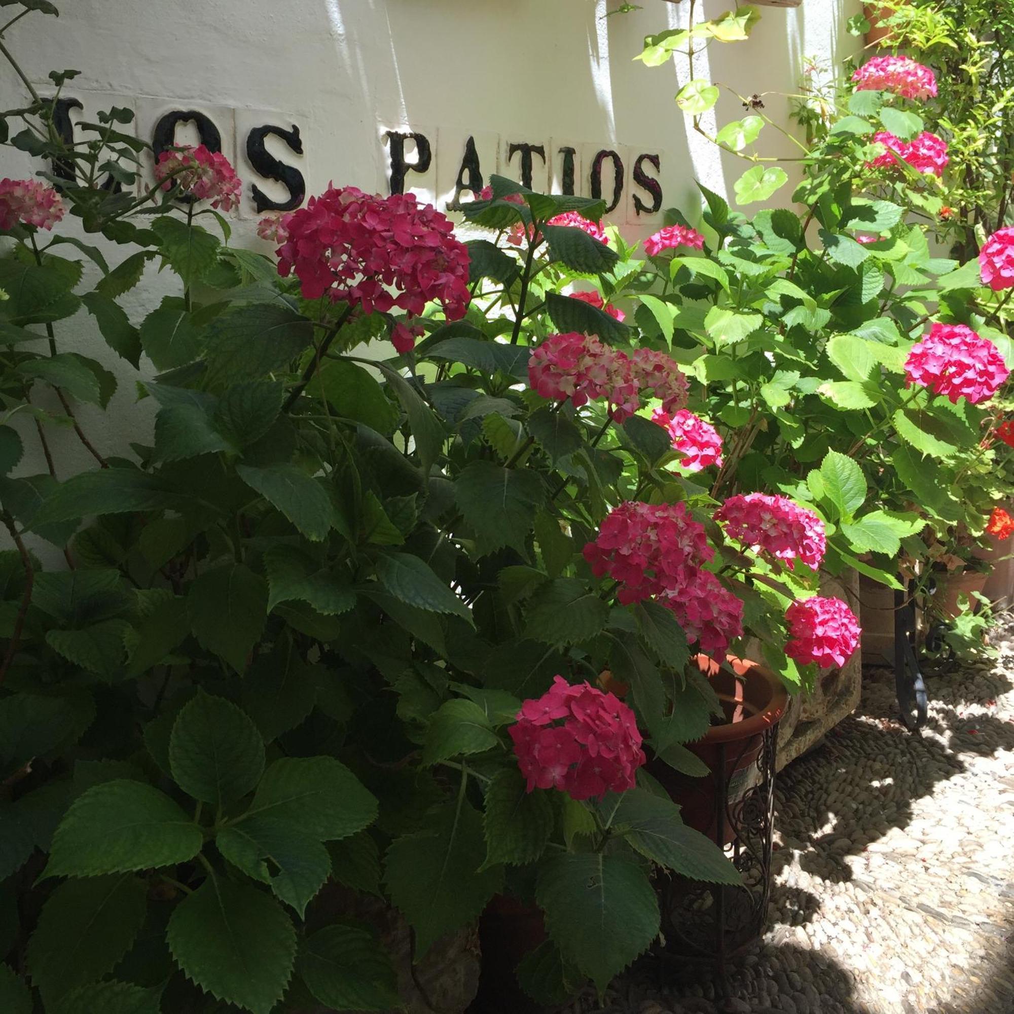 Los Patios Cordova Esterno foto
