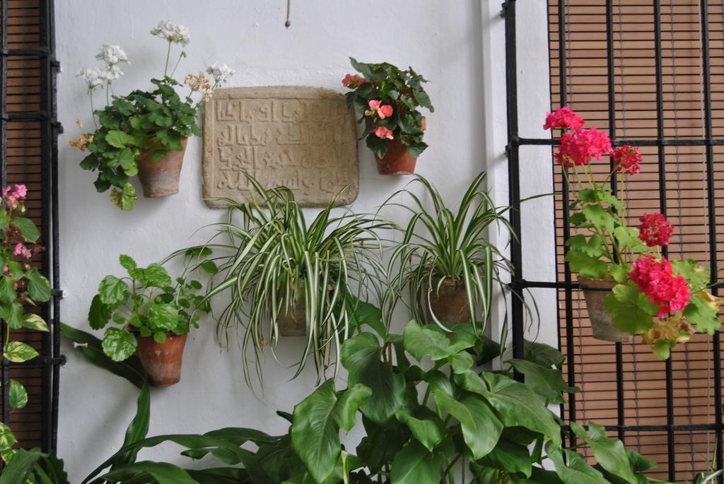 Los Patios Cordova Esterno foto
