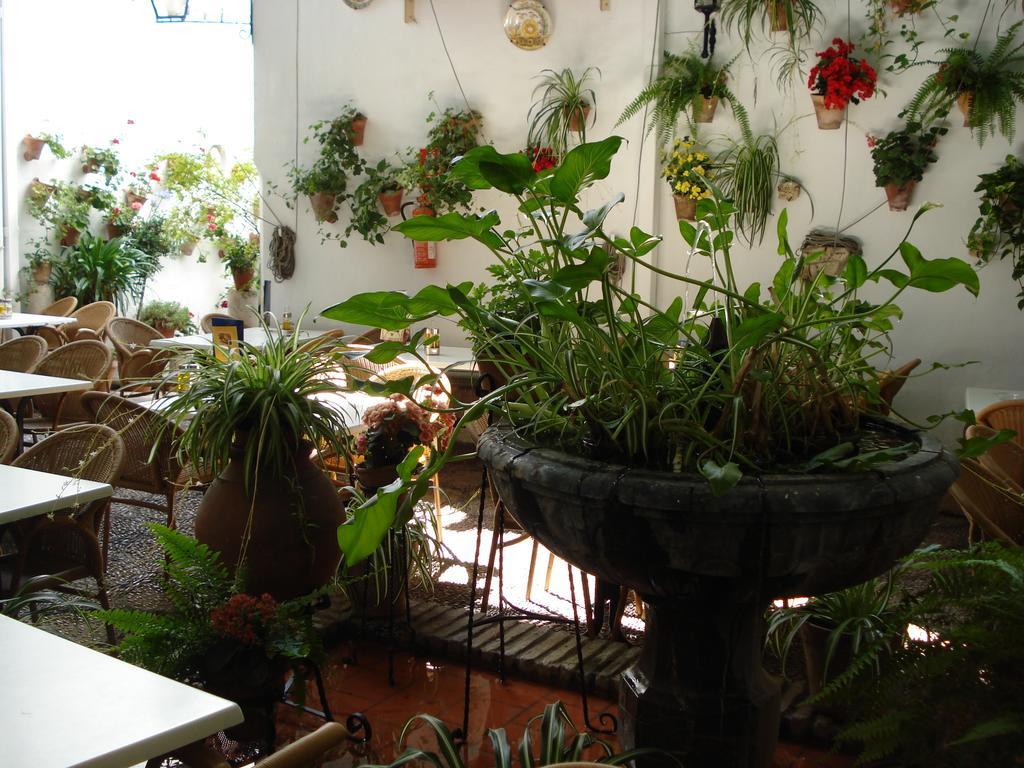 Los Patios Cordova Esterno foto